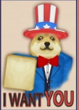 Doges