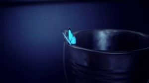 Chrysalis