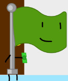 Green Flag