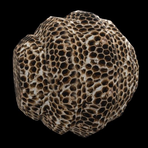 Bee Hive
