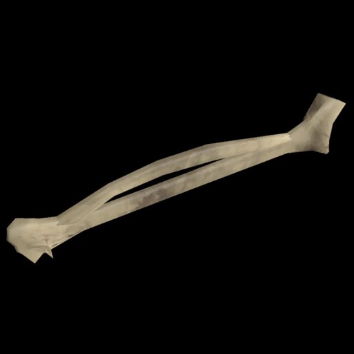 Bone
