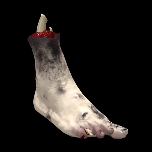 Foot