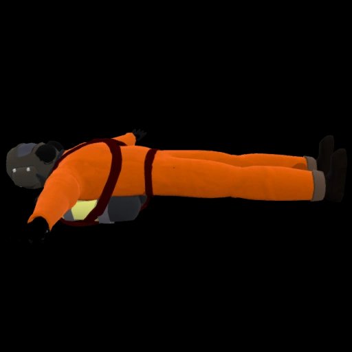 Player Body