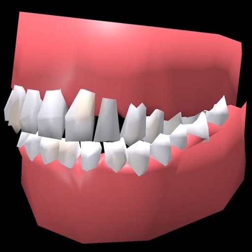 Teeth