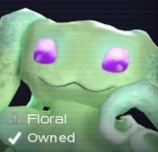 Floral