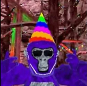LiamVortex