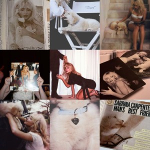 man's best friend - sabrina carpenter