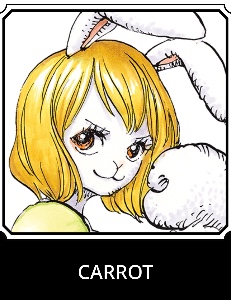 Carrot