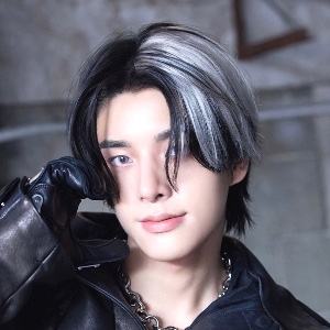 half silver half black hair