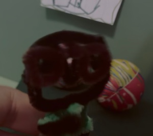 Bobo