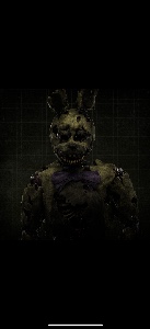 MikeTrap