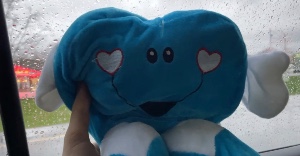 Lovey Dovey