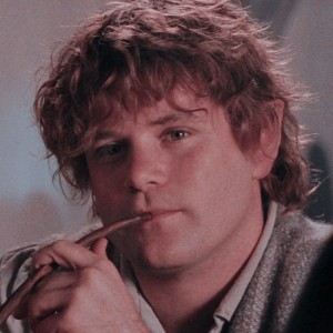Samwise Gamgee (LOTR)
