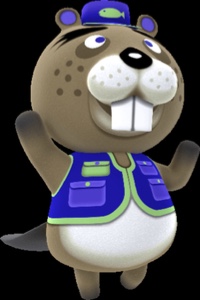 Chip
