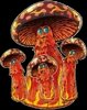 image_2026-08-23_161049158