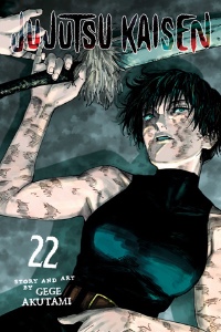 Volume 22