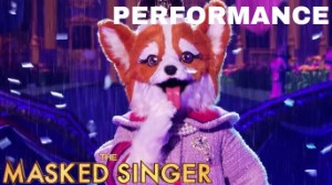 DON'T RAIN ON MY PARADE - Queen Corgi
