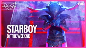 STARBOY - Stingray