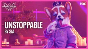 UNSTOPPABLE - Queen Corgi