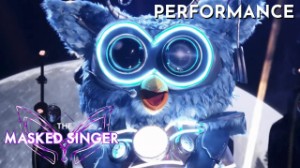 WHITE WEDDING - Owl
