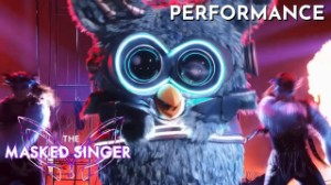 WILD THINGS - Owl