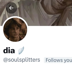 dia 🪽 @soulsplitters