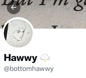 Hawwy🌩️ @bottomhawwy