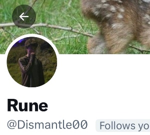 Rune @Dismantle00