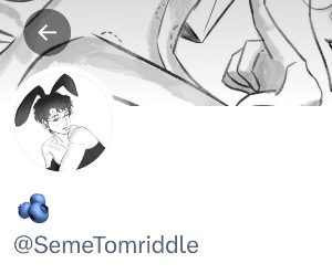 🫐 @SemeTomriddle