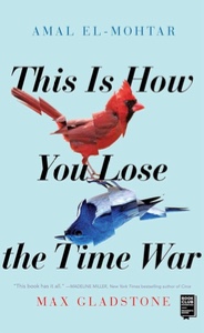 red & blue (this is how you lose the time war)