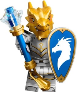 Dragonborn Paladin