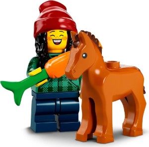 Horse Groom