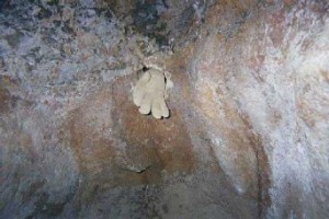 Ted the Caver