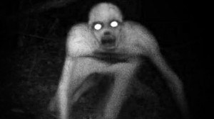 The Rake