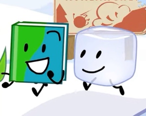 Bookcube