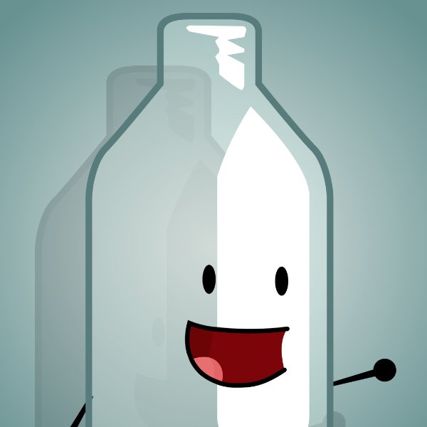 Bottle