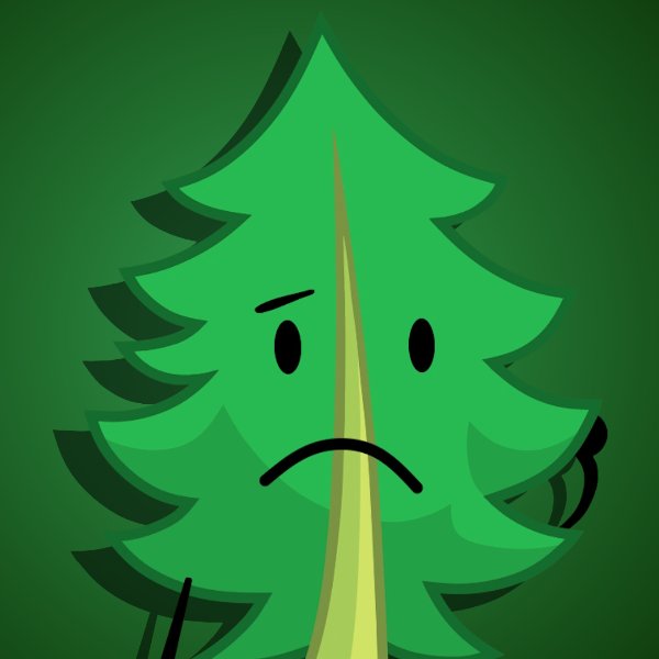Fern