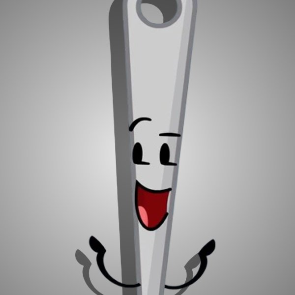 Needle