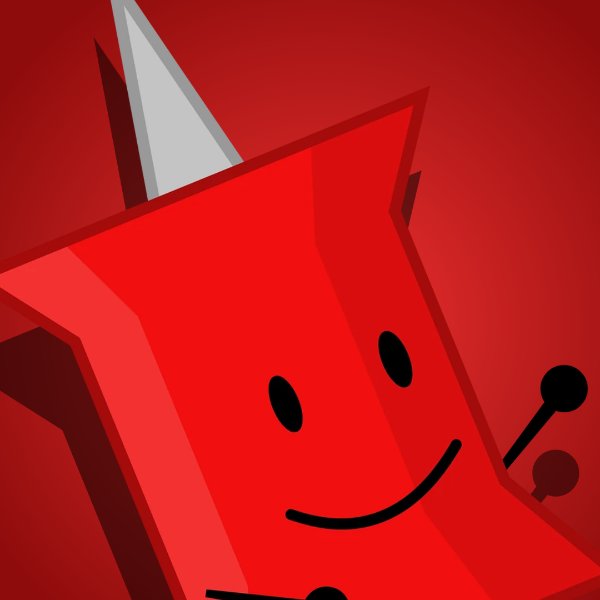 Pin