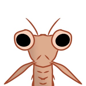 Krill
