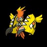 Tapu Koko
