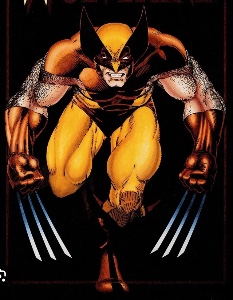 Wolverine