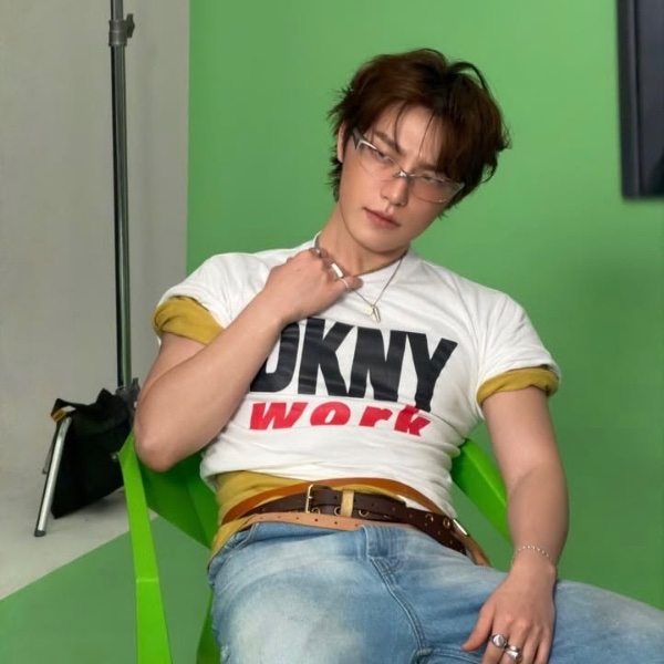dino (seventeen)