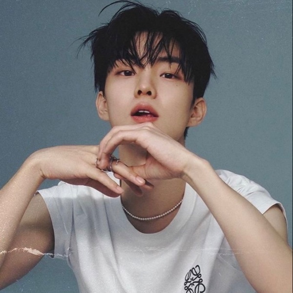 q (the boyz)