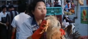 chicken Lady
