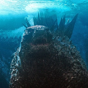Vs Kong