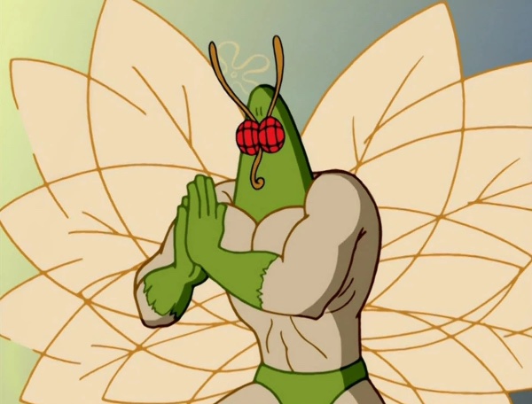 The Moth