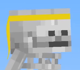 Skeleton