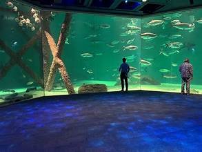 Aquariums
