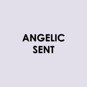 Slide208